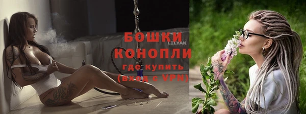 дурь Бородино