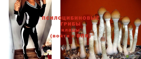 прущий лед Бронницы