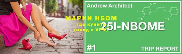 дурь Бородино