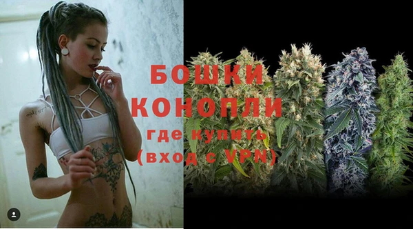 дурь Бородино