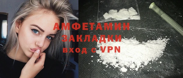 дурь Бородино