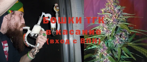 дурь Бородино