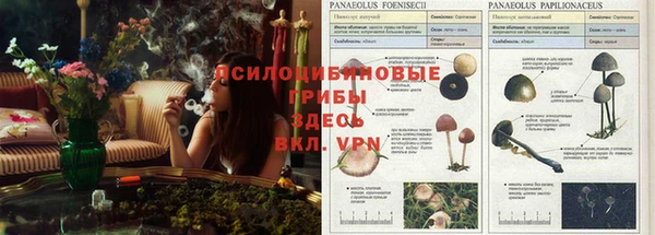 прущий лед Бронницы